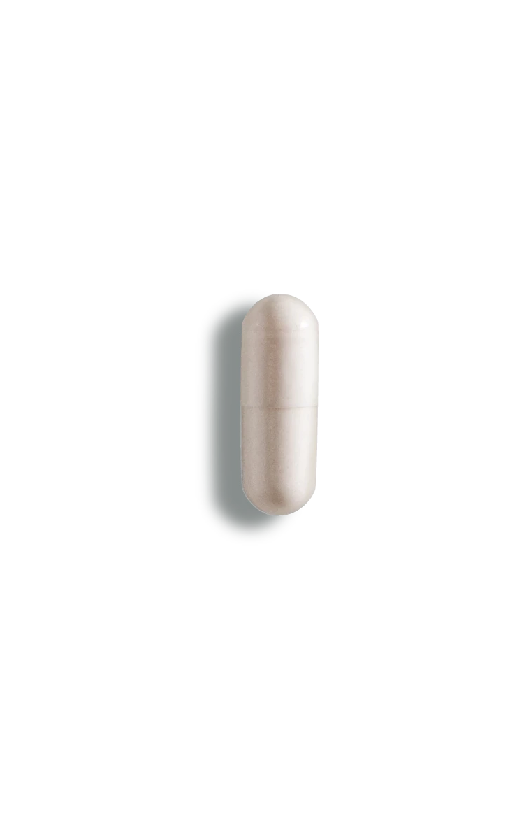 Dream – Blocks Nutrition